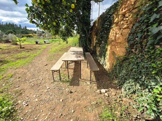 Image No.3-Ferme à vendre à Pedrógão Grande