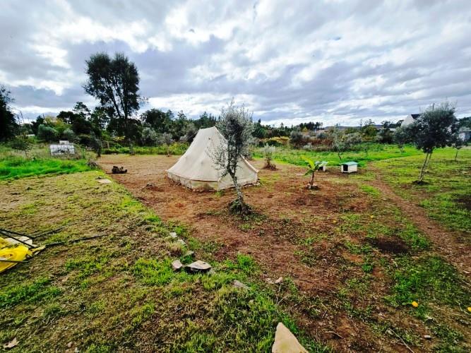 Image No.4-Ferme à vendre à Pedrógão Grande