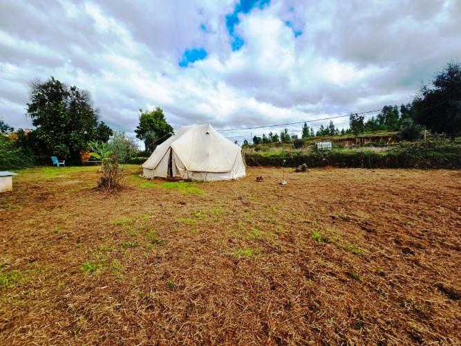 Image No.5-Ferme à vendre à Pedrógão Grande