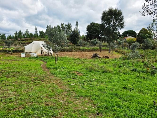 Image No.6-Ferme à vendre à Pedrógão Grande