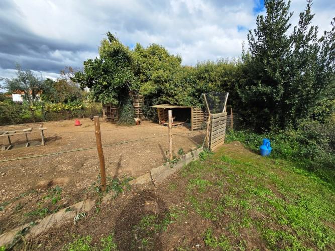 Image No.8-Ferme à vendre à Pedrógão Grande