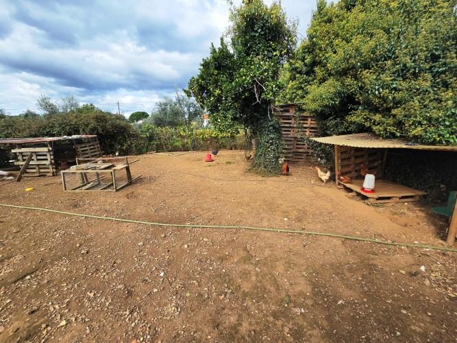 Image No.9-Ferme à vendre à Pedrógão Grande