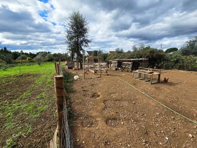 Image No.10-Ferme à vendre à Pedrógão Grande