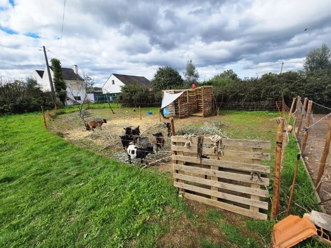 Image No.12-Ferme à vendre à Pedrógão Grande