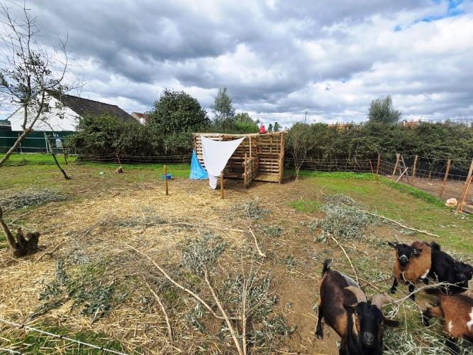 Image No.14-Ferme à vendre à Pedrógão Grande