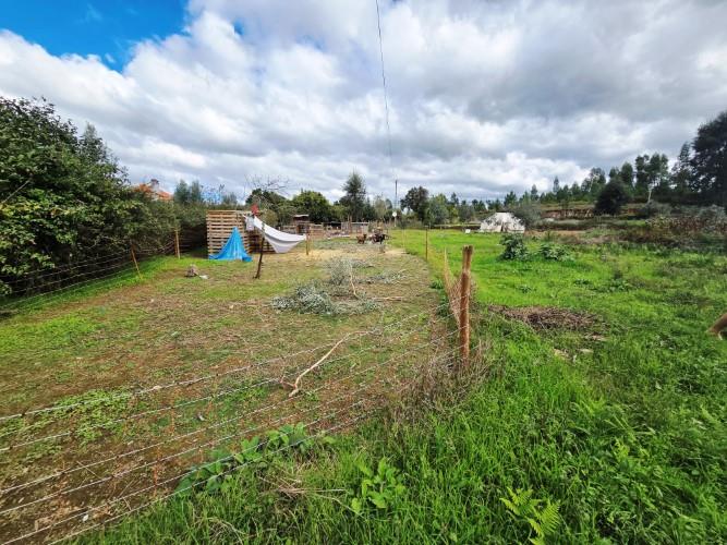 Image No.15-Ferme à vendre à Pedrógão Grande