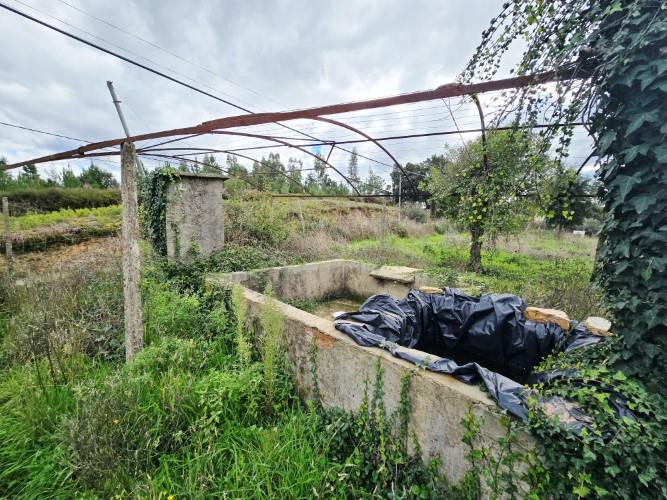 Image No.22-Ferme à vendre à Pedrógão Grande