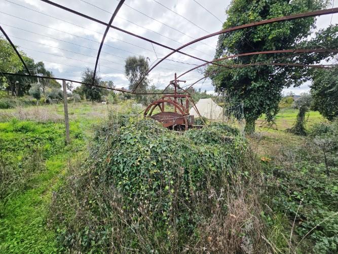 Image No.23-Ferme à vendre à Pedrógão Grande