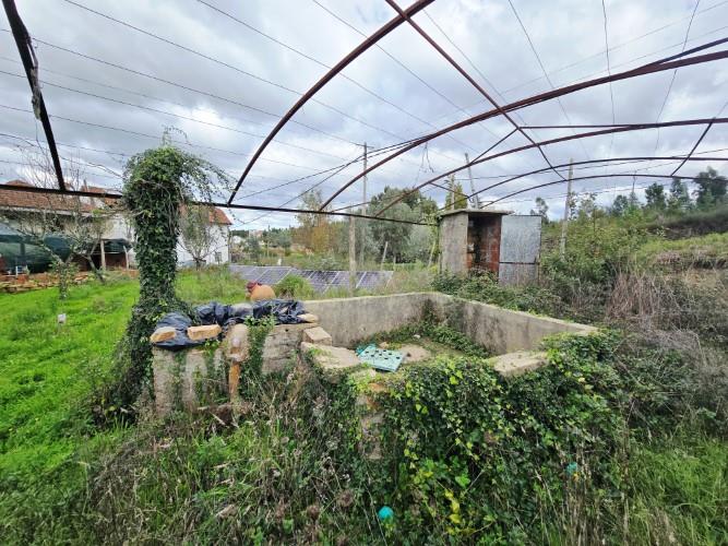 Image No.24-Ferme à vendre à Pedrógão Grande