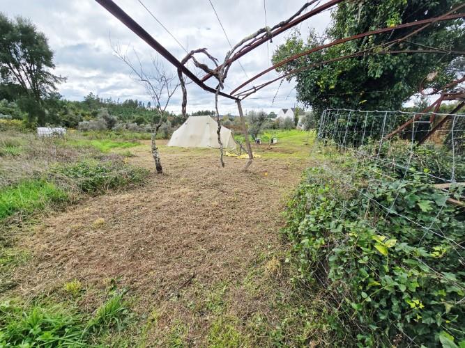 Image No.25-Ferme à vendre à Pedrógão Grande