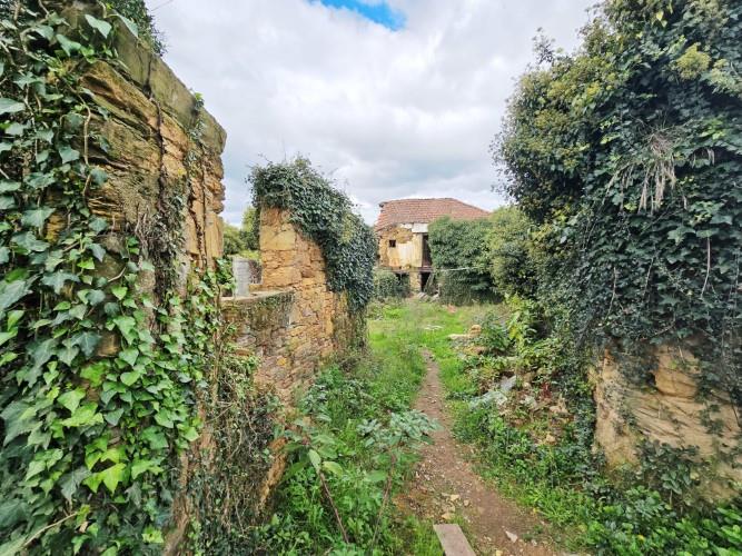 Image No.26-Ferme à vendre à Pedrógão Grande