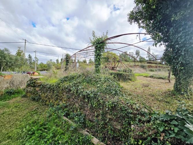 Image No.29-Ferme à vendre à Pedrógão Grande