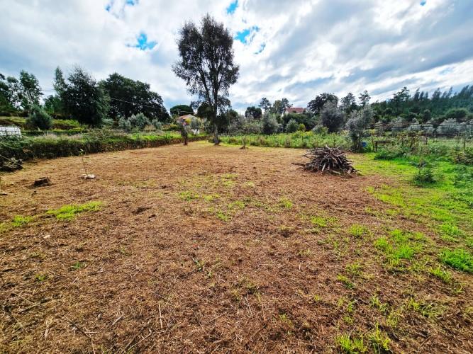 Image No.30-Ferme à vendre à Pedrógão Grande