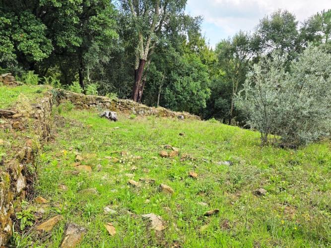 Image No.57-4 Bed Country House for sale