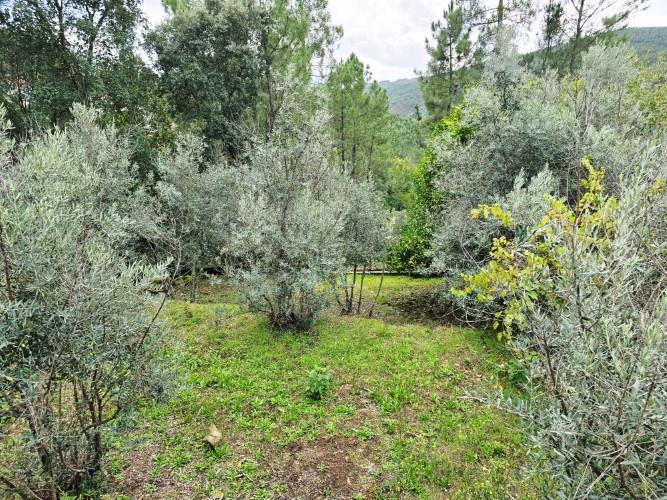 Image No.60-4 Bed Country House for sale