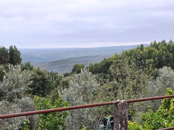 Image No.44-4 Bed Village House for sale