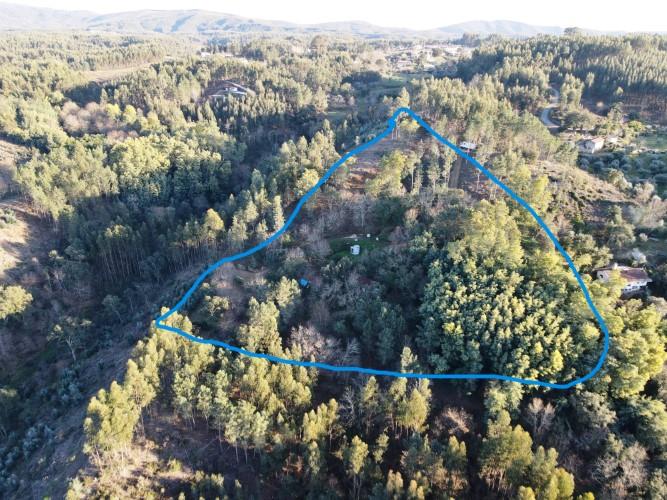 Image No.11-1 Bed Property for sale