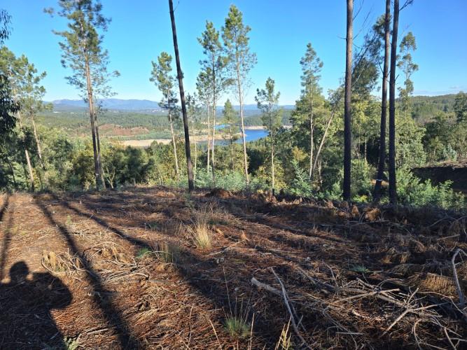 Image No.21-1 Bed Property for sale