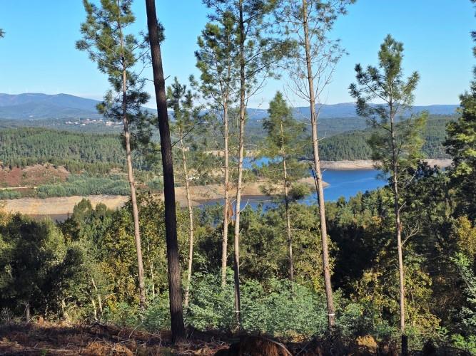 Image No.22-1 Bed Property for sale