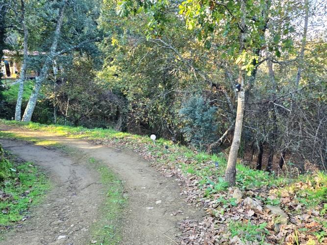 Image No.40-1 Bed Property for sale