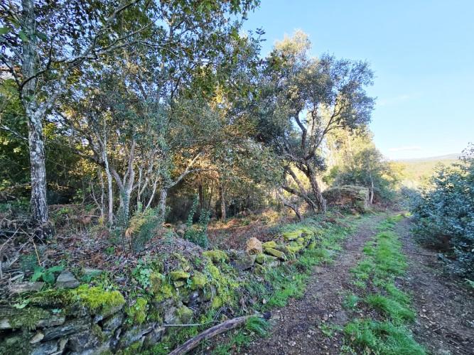 Image No.53-1 Bed Property for sale