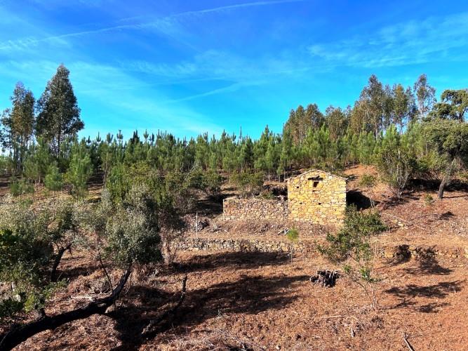 Image No.3-Land for sale