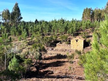 1---1281--NEW---Custom-