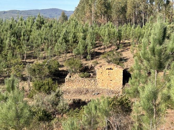 Image No.4-Land for sale