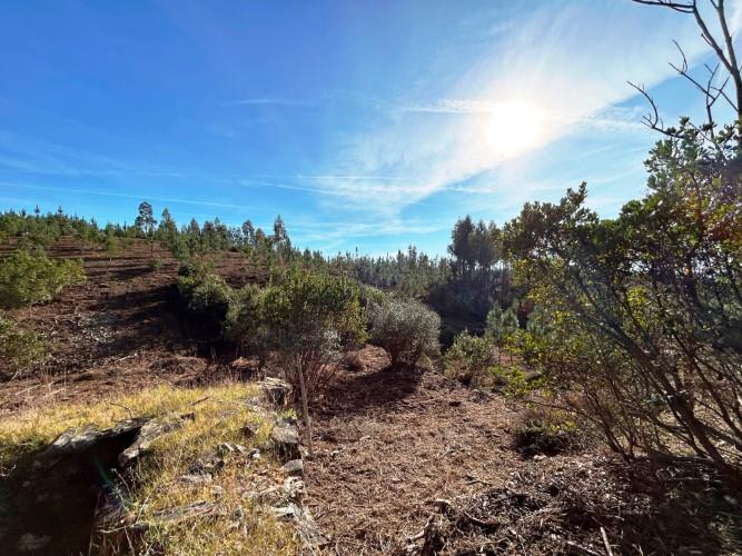 Image No.20-Land for sale