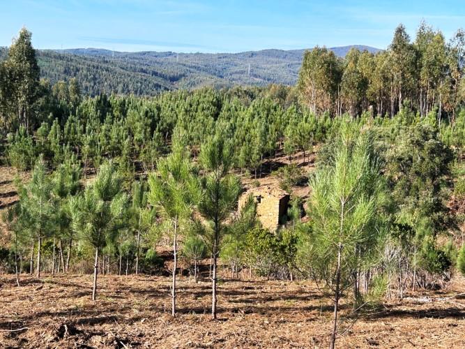 Image No.21-Land for sale