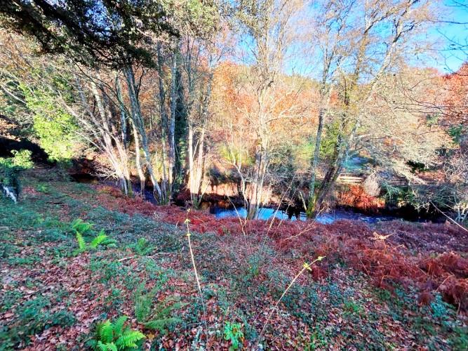 Image No.2-Terre à vendre à Pedrógão Grande