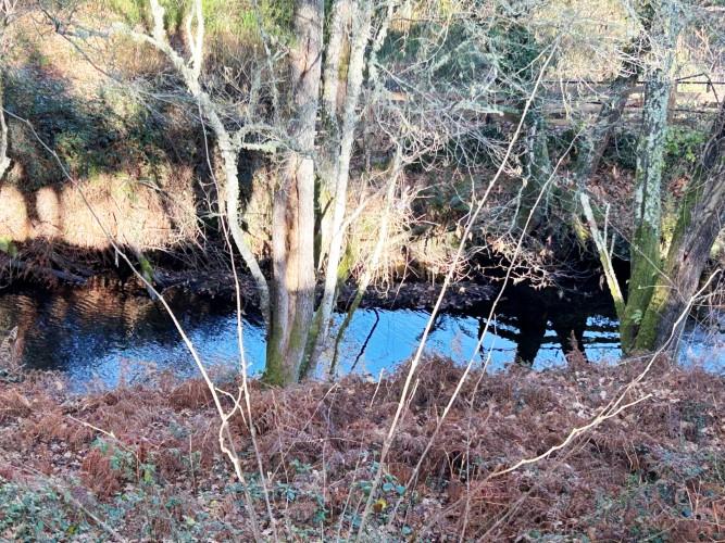 Image No.3-Terre à vendre à Pedrógão Grande