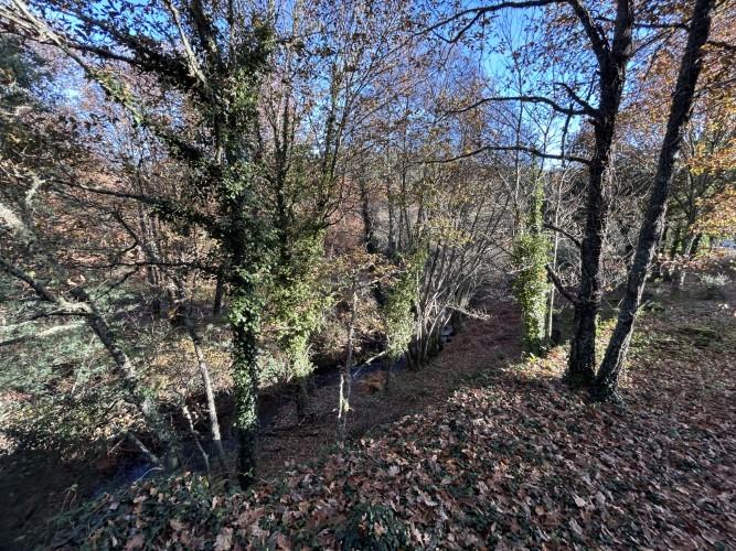 Image No.4-Terre à vendre à Pedrógão Grande