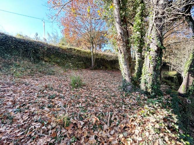 Image No.6-Terre à vendre à Pedrógão Grande