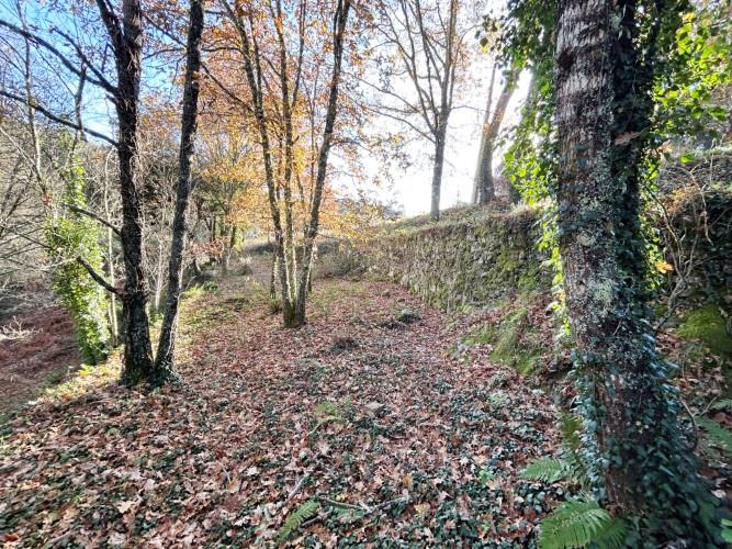 Image No.8-Terre à vendre à Pedrógão Grande