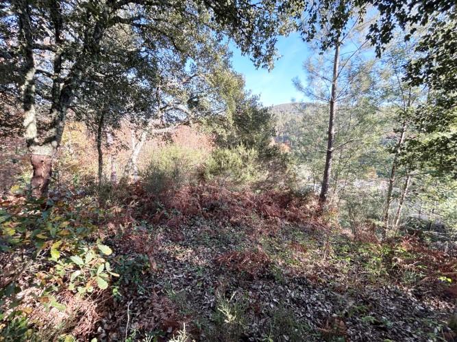 Image No.9-Terre à vendre à Pedrógão Grande