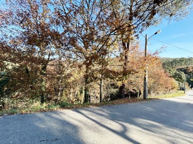 Image No.11-Terre à vendre à Pedrógão Grande