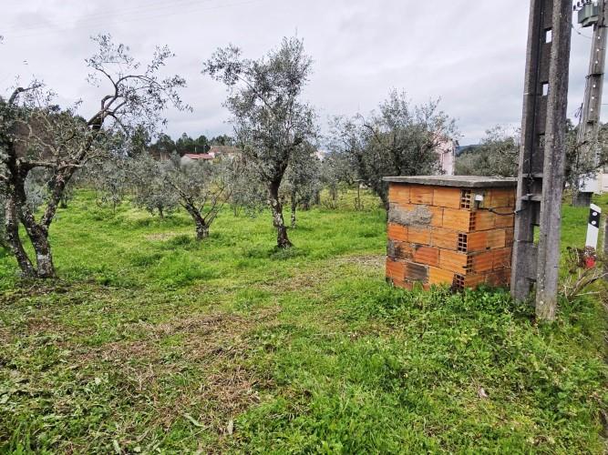 Image No.4-Land for sale