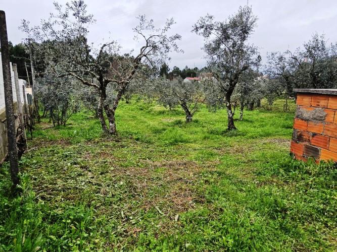 Image No.6-Land for sale