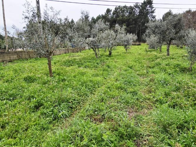 Image No.7-Land for sale