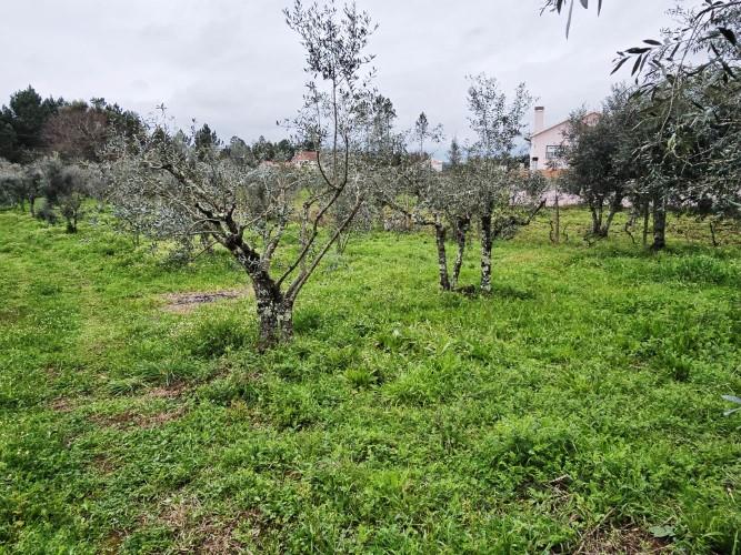 Image No.8-Land for sale