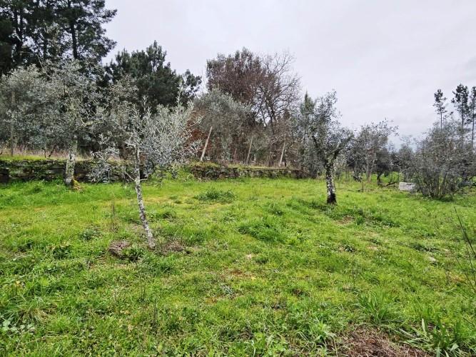 Image No.10-Land for sale