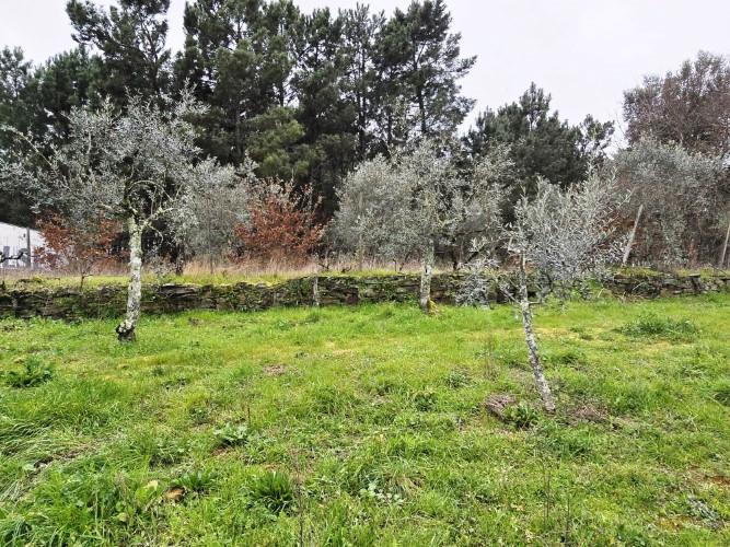 Image No.11-Land for sale