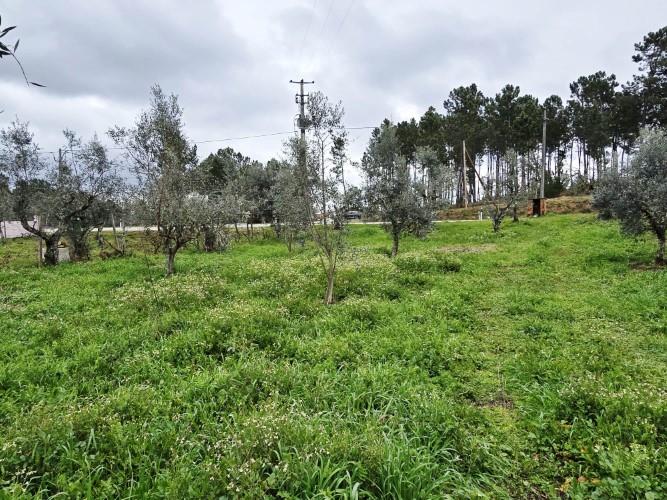 Image No.12-Land for sale