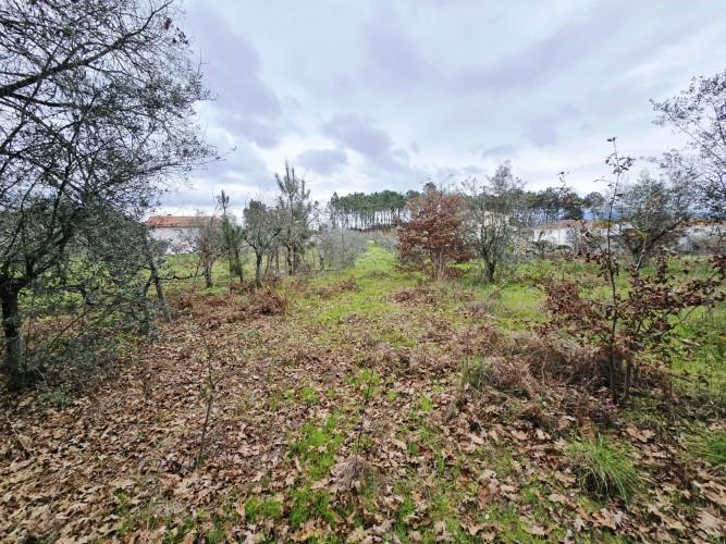 Image No.14-Land for sale