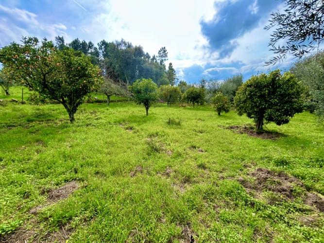 Image No.3-Plot for sale