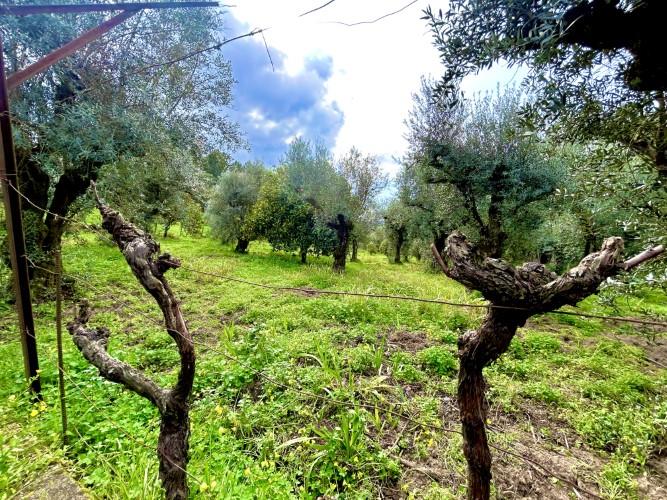 Image No.7-Plot for sale