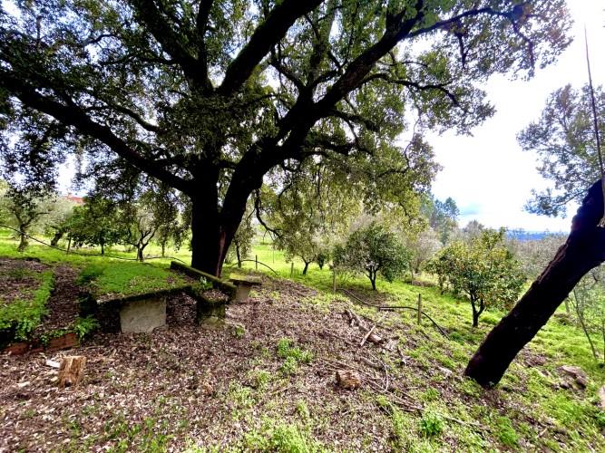 Image No.8-Plot for sale