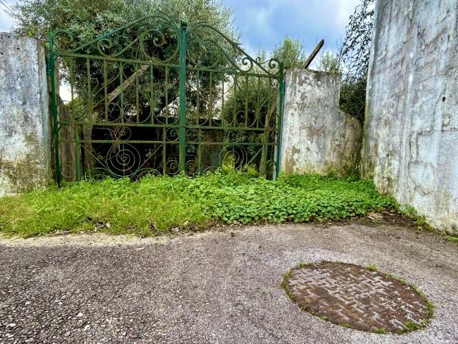 Image No.17-Plot for sale