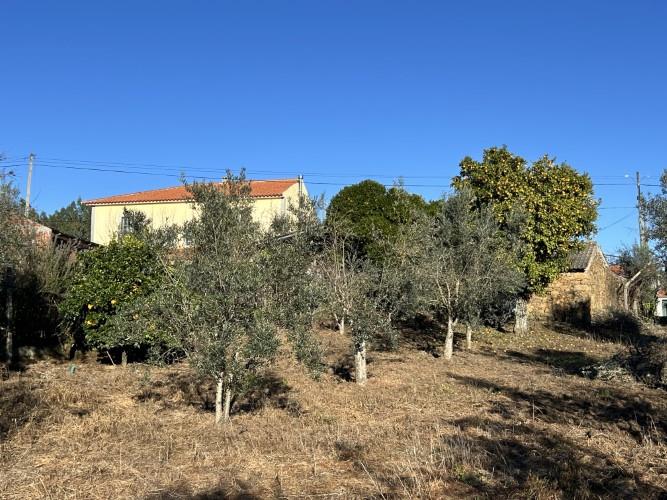 Image No.18-5 Bed Cottage for sale